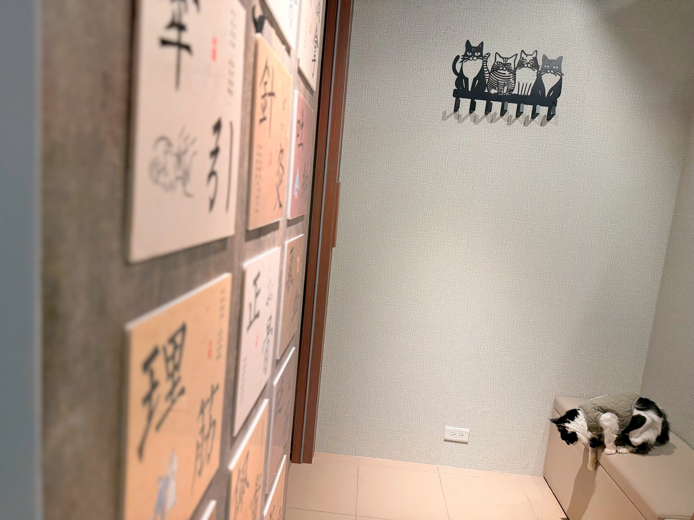 愛家動物醫院診療與檢查區：穩定專業的中西醫整合醫療環境